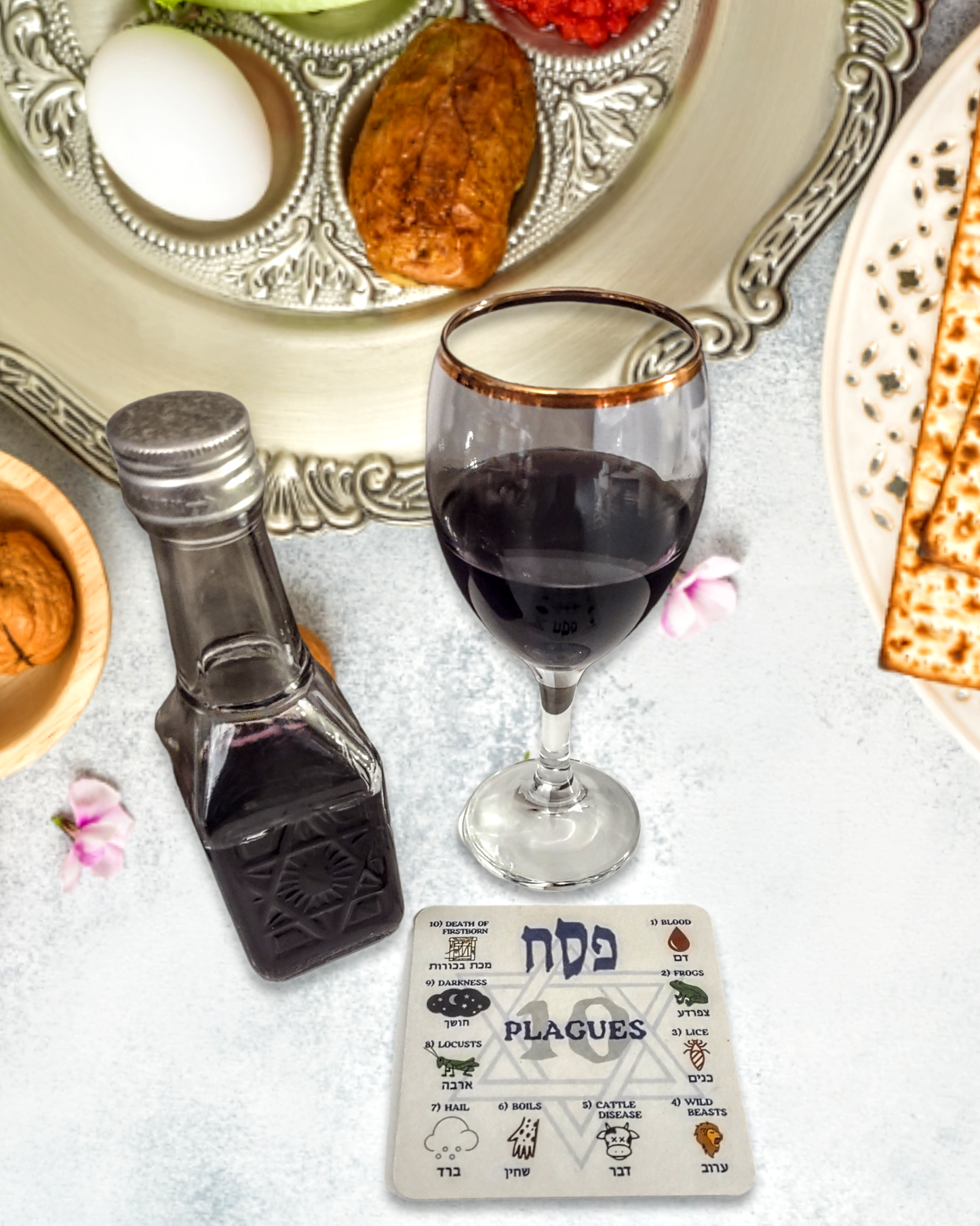 Passover Seder Ten 10 Plagues Coasters Set