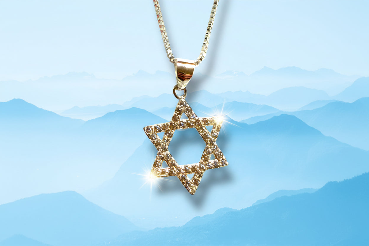 Sterling Silver Sparkly Jewish Star Magen David necklace