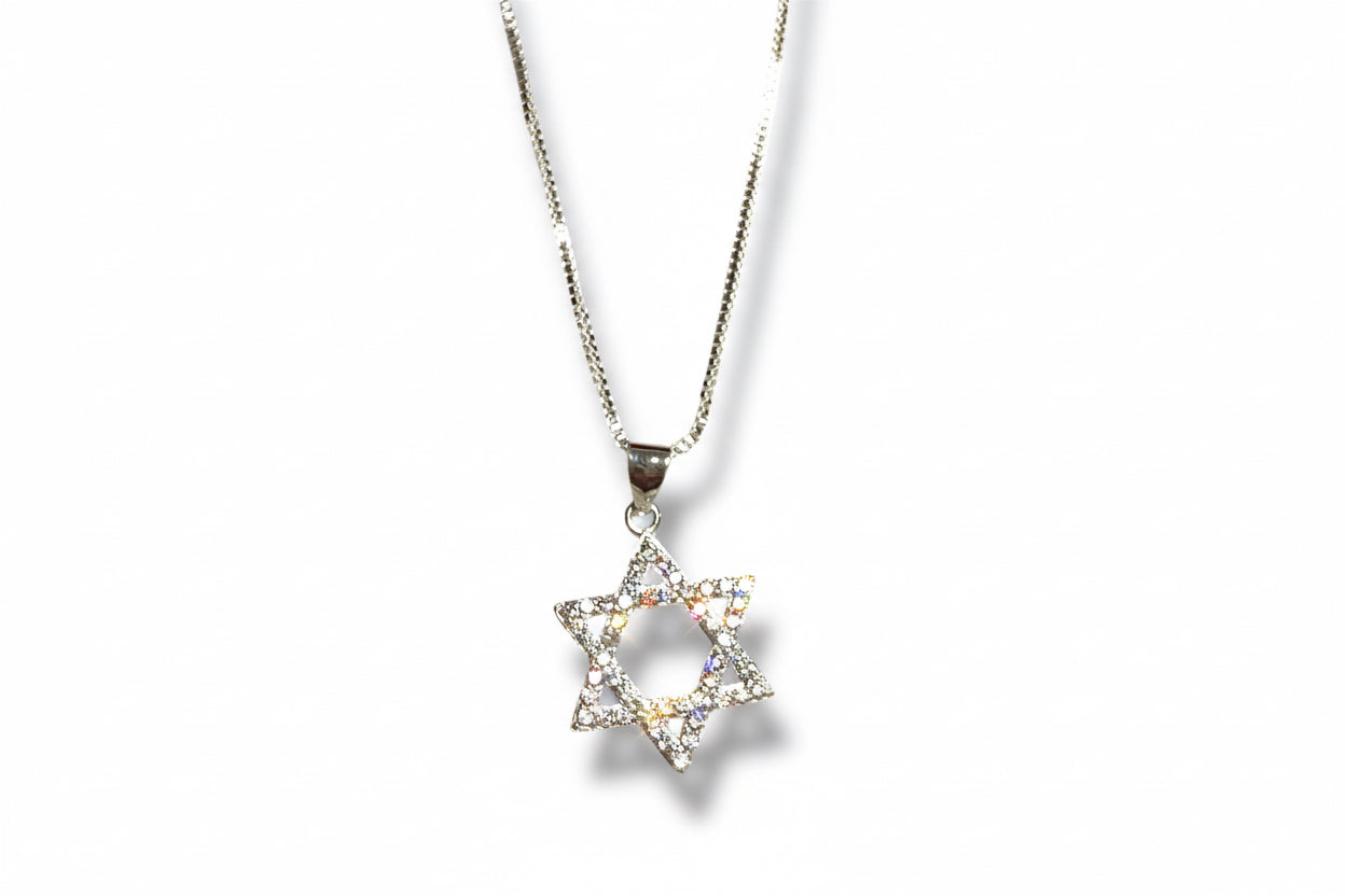 Sterling Silver Sparkly Jewish Star Magen David necklace