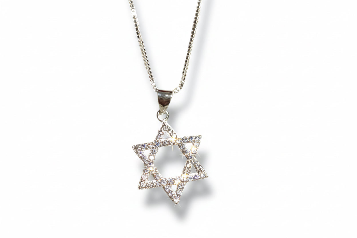Sterling Silver Sparkly Jewish Star Magen David necklace