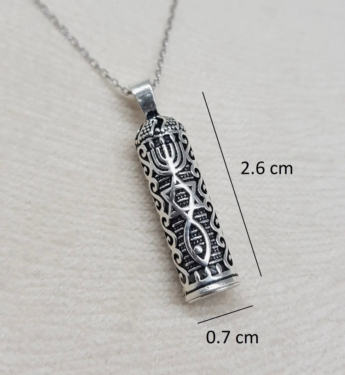 Sterling Silver Star of David Mezuzah Case pendant necklace