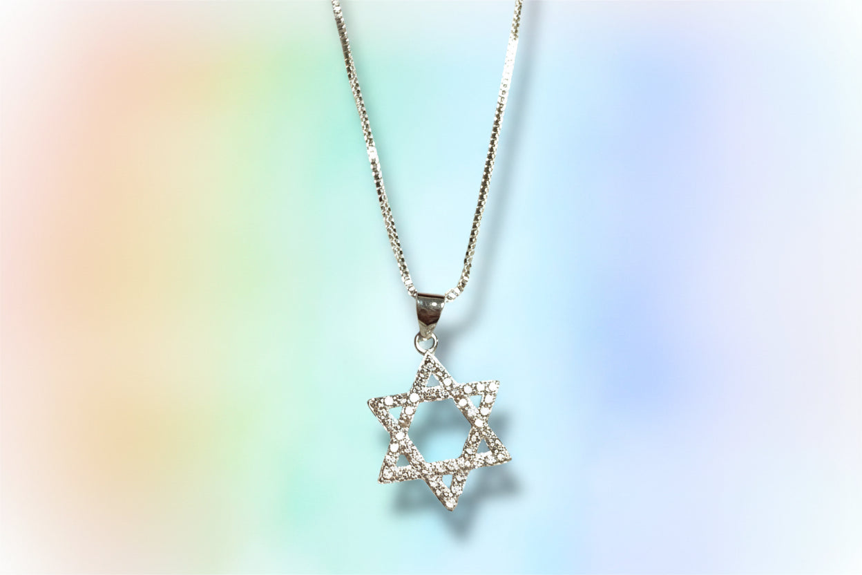 Sterling Silver Sparkly Jewish Star Magen David necklace
