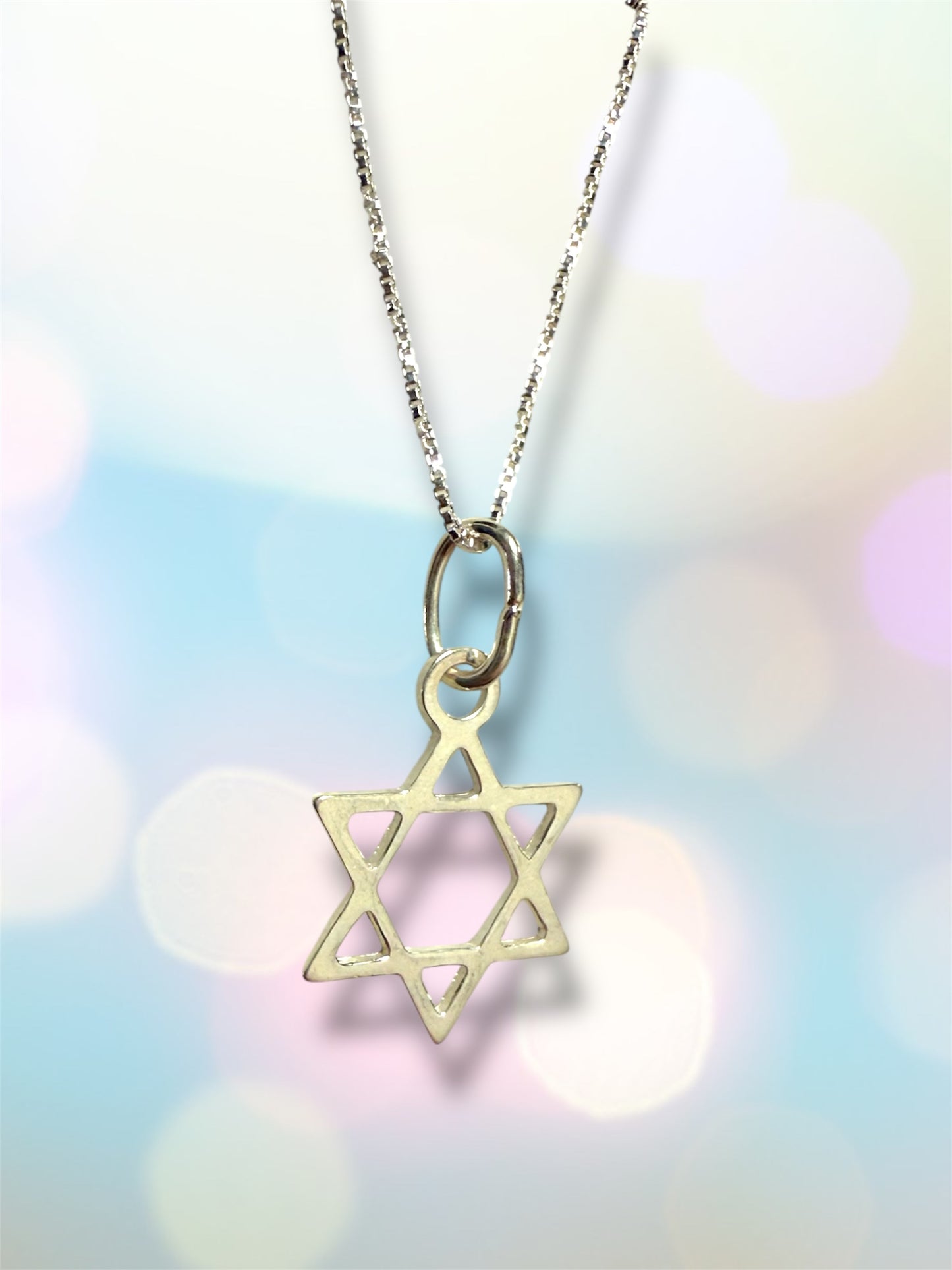 Sterling Silver Jewish Star of David necklace