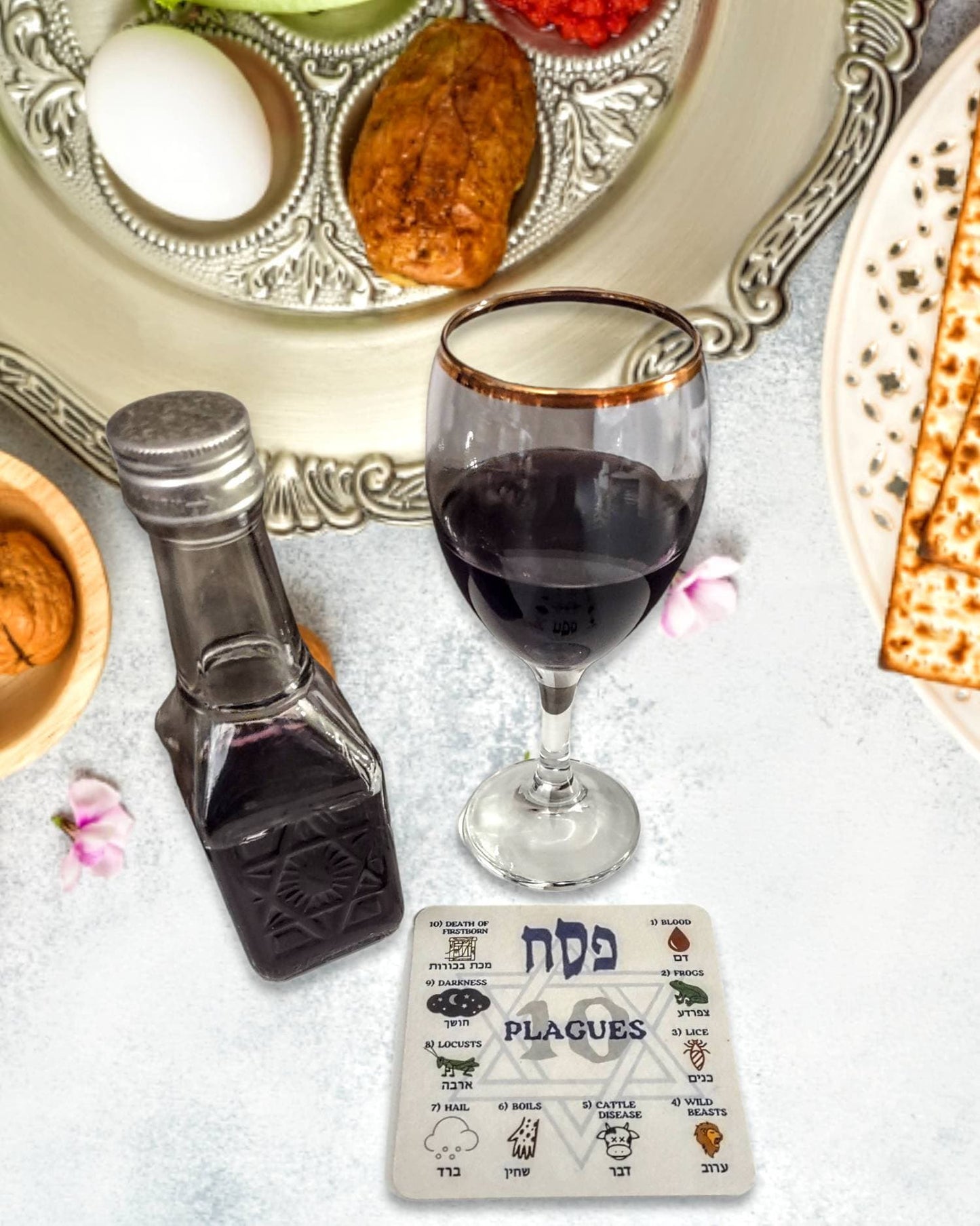 Passover Seder Ten 10 Plagues Coasters Set Jewish Judaica Pesach