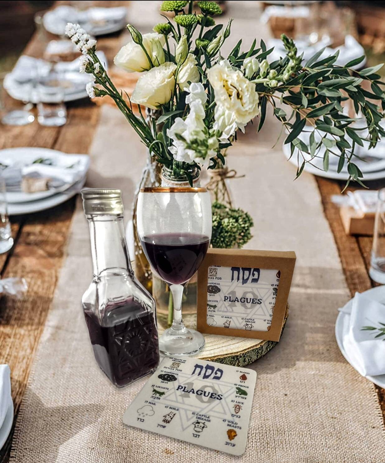 Passover Seder Ten 10 Plagues Coasters Set Jewish Judaica Pesach